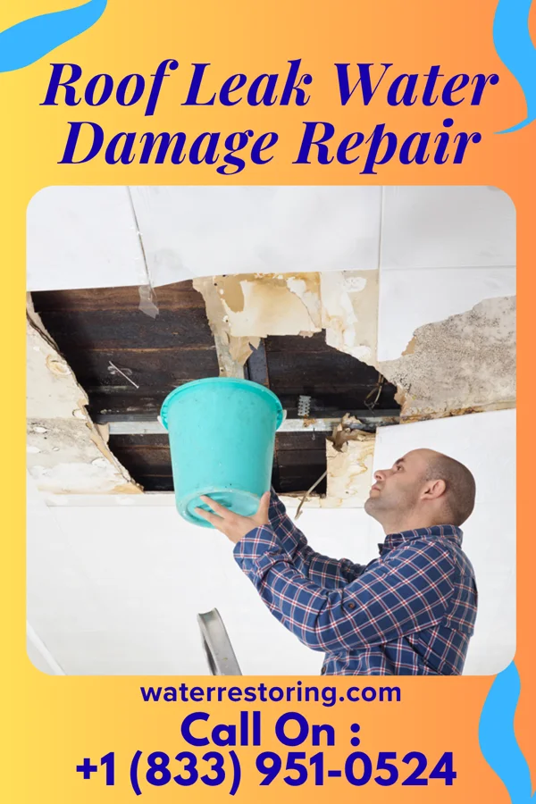Roof Leak Water Damage Repair in Alexander, AR
